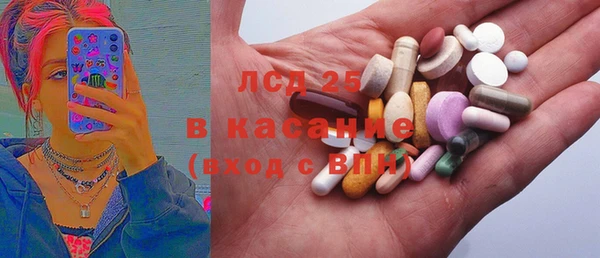 твердый Вяземский