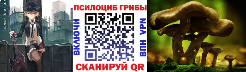 купить наркотики сайты  Егорьевск  Галлюциногенные грибы мухоморы 